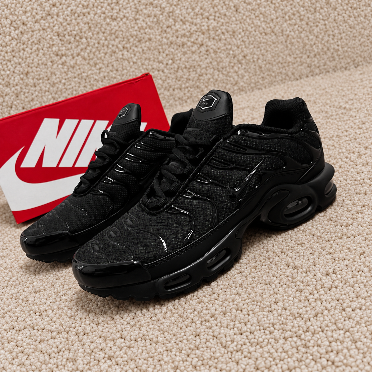 Zapatilla TN Negras